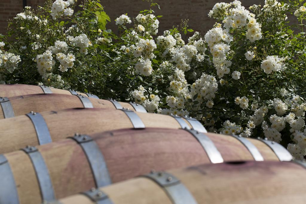 Marchesi Alfieri - Cantine E Ospitalita San Martino Alfieri 外观 照片